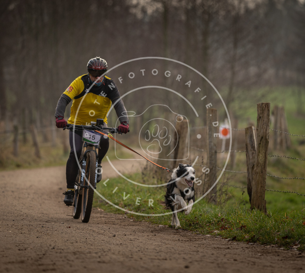 Pfotenfotografie_DV3A1830 | Hundefotografie, Tierfotograf, Pfotenfotografie, Fotoshooting Hund, Hunde Portrait, Hundesport, Hundeportraits, Heideshooting, Hunde, Sportfotograf, Hundefotograf, Turnierhundsport, THS,  - Realisiert mit Pictrs.com