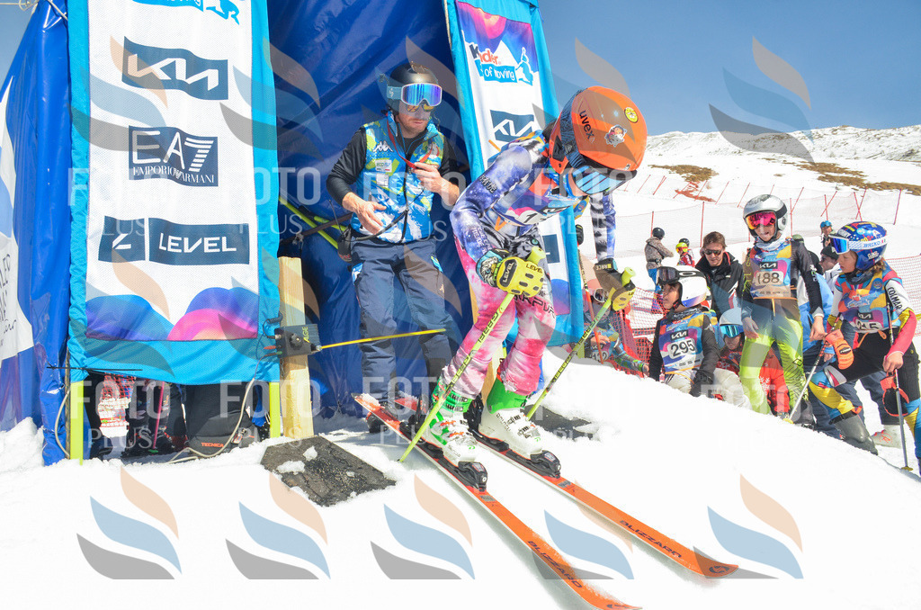 _ELE5916 | holidayphoto