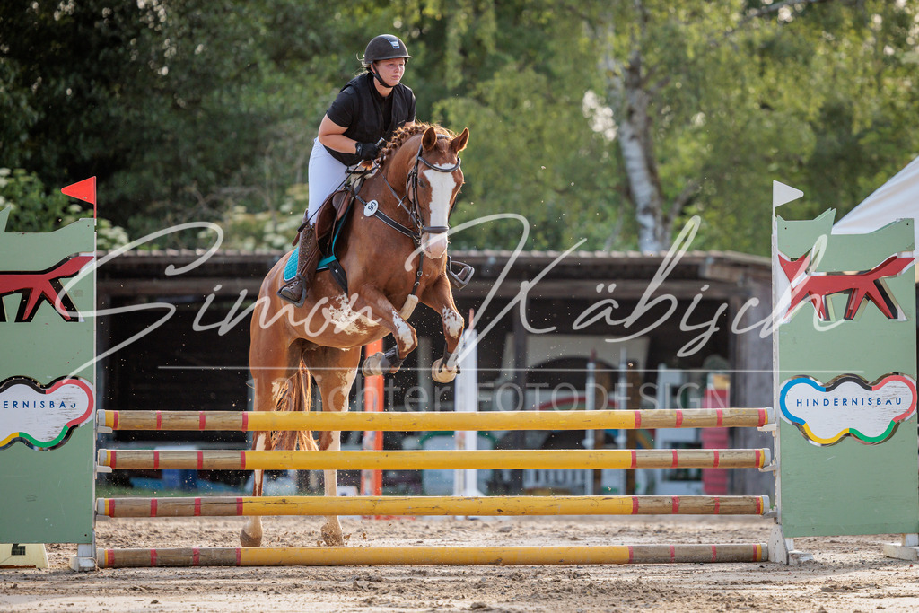 20260529-_3LI1324 | Tierfotografie Pferde, Hunde, Katzen, Haustiere.
Turnierfotografie Reitturniere, Reiten, Springreiten, Dressur in Hanau, dem Main-Kinzig-Kreis und dem Rhein-Main- Gebiet um Frankfurt
