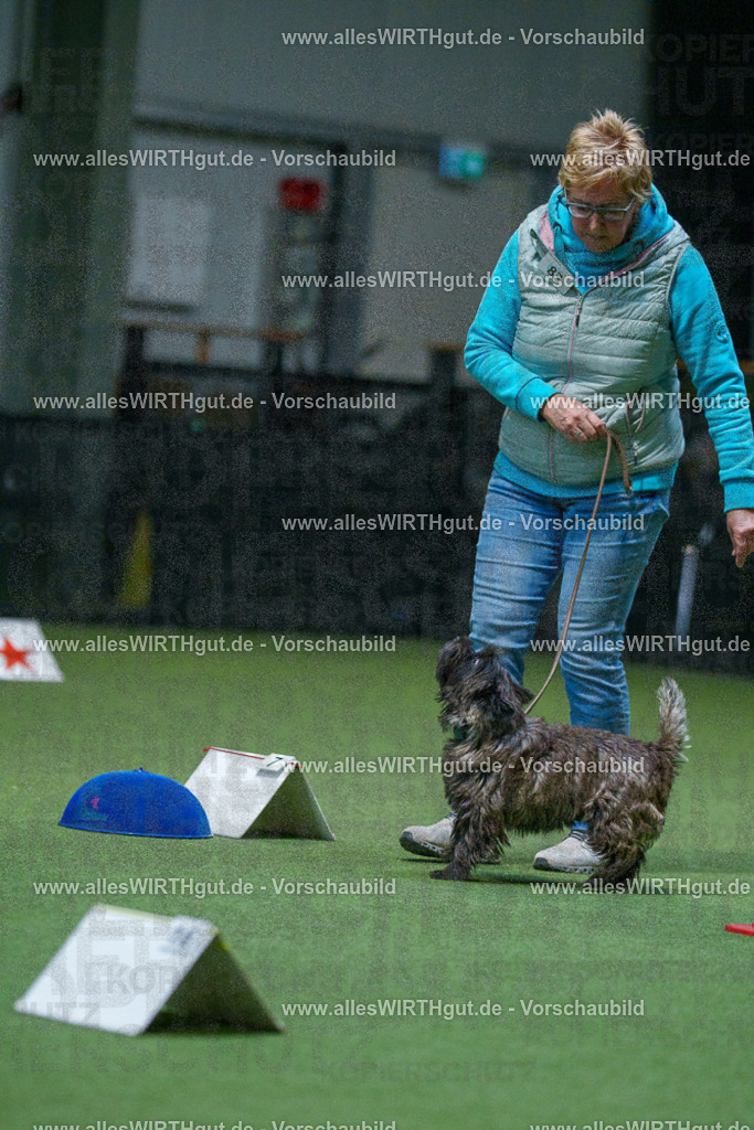 7R503209 | Professionelle Tierfotografie in Mönchengladbach von Daniel Wirth (allesWIRTHgut). Liebevolle & natürliche Bilder von Hunden & Katzen für unvergessliche Erinnerungen.