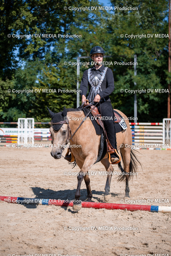 ZS1_0889 | dv-media-shop - Realisiert mit Pictrs.com