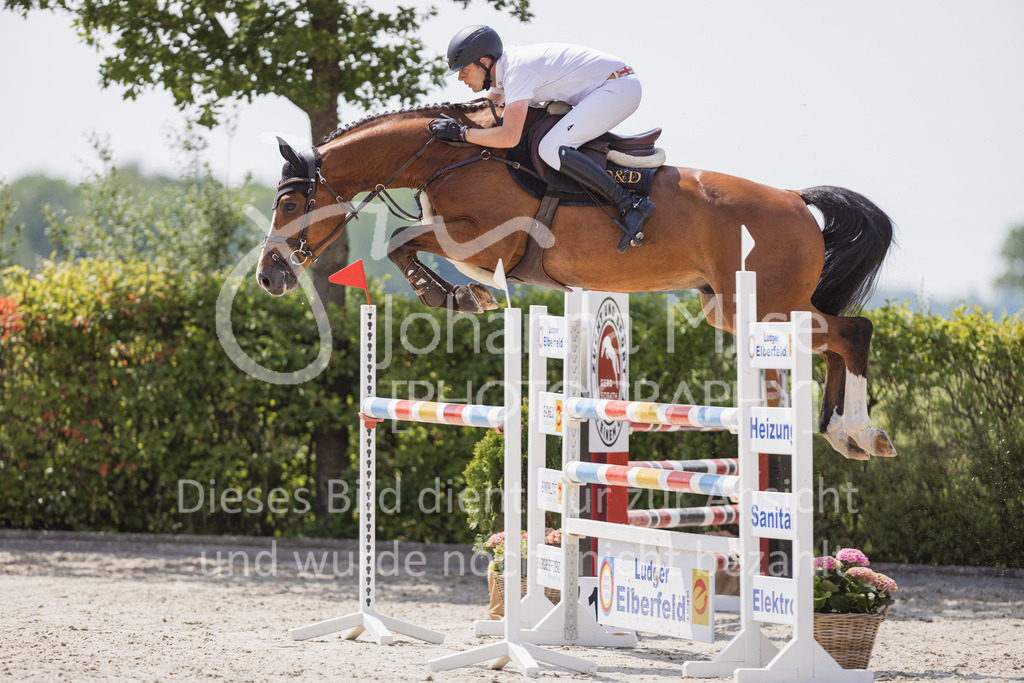 230616_Lemwerder_Springpf-L2-701 | Deine schönsten Turniermomente als professionelle Fotos! Entdecke hochwertige Pferdesport-Fotografie im Online-Shop. Jetzt Fotos finden & bestellen!