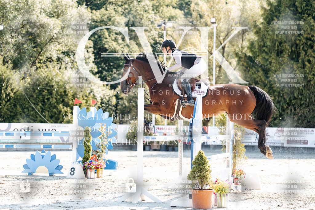 CK902241 | Turnierfotografie Pferdefotografie Trier Rheinland-Pfalz Pferdesport Reitsport Tierfotografie Sportfotografie Pferdevideo Pferdevideografie Equestrianvideography equestrianphotography  - Realisiert mit Pictrs.com