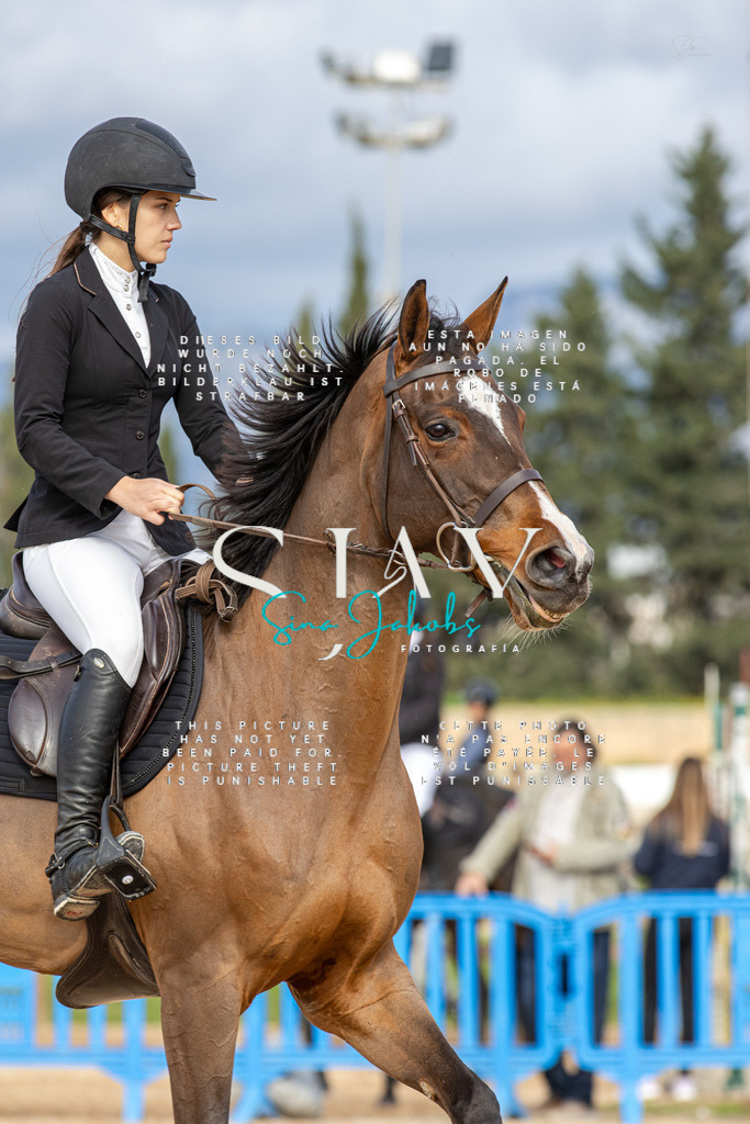 IMG_3214 | s-jay-photography - Realisiert mit Pictrs.com