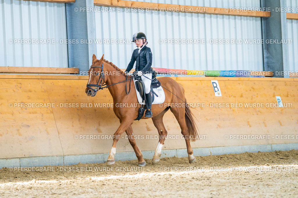 DSC08393 | Pferdegrafie