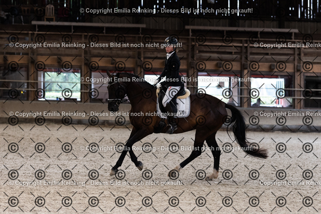 CL5A1214 | Emilia Reinking Fotografie - Realisiert mit Pictrs.com