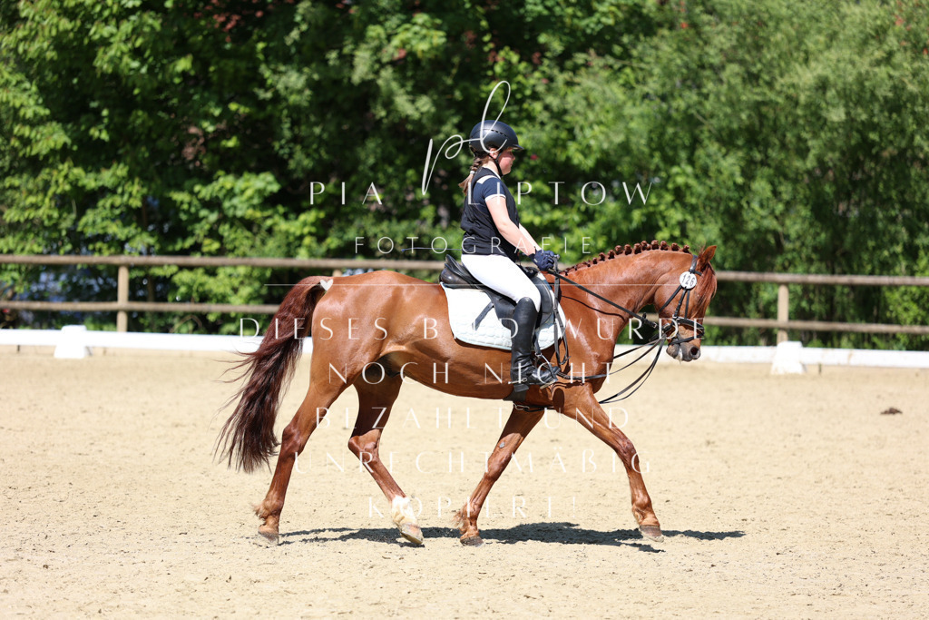 IMGS3249 | pl-fotografie