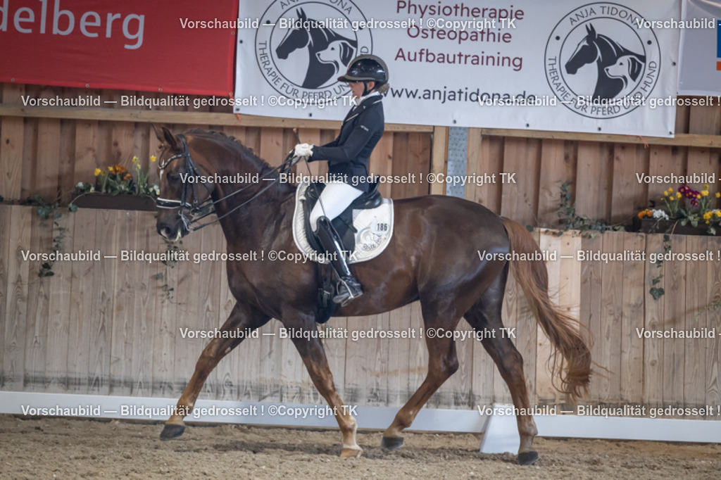 _D5A4859 | Emotionale Pferde- & People-Fotografie rund um Heidelberg, Leimen & Umgebung. Natürliche Fotos von Pferd, Mensch & Familie. Jetzt Termin sichern!