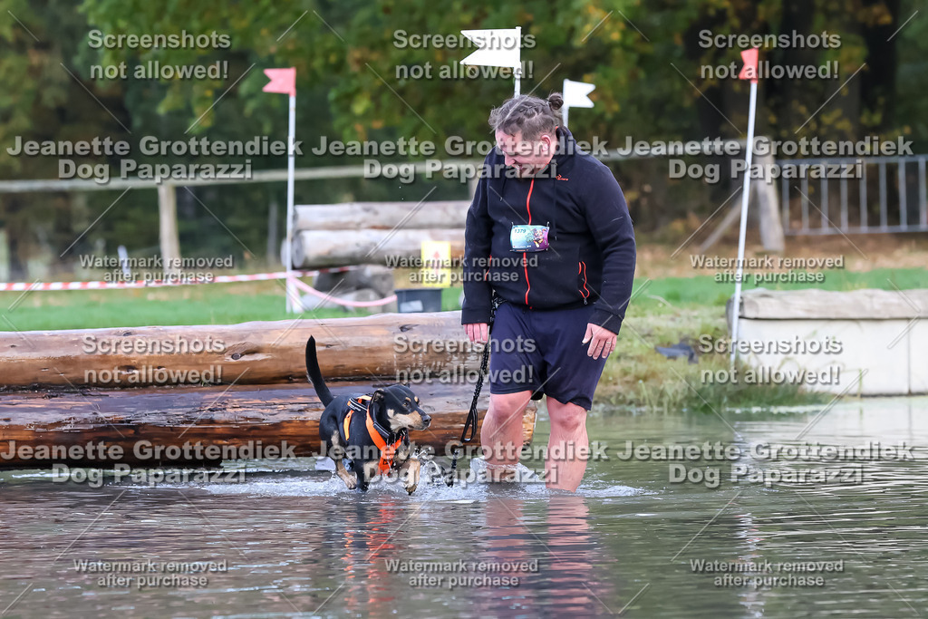 Dog Paparazzi - Strongdog 10-25-6635 | Dog Paparazzi Jeanette Grottendiek Fotografie & Videografie - Realisiert mit Pictrs.com