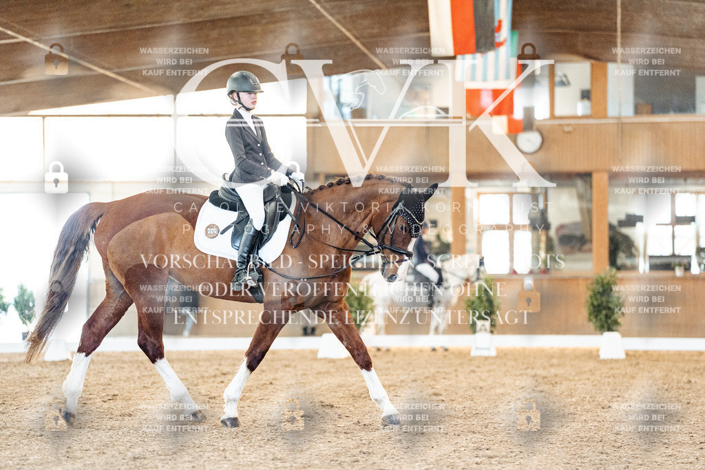 CK906704 | Turnierfotografie Pferdefotografie Trier Rheinland-Pfalz Pferdesport Reitsport Tierfotografie Sportfotografie Pferdevideo Pferdevideografie Equestrianvideography equestrianphotography  - Realized with Pictrs.com