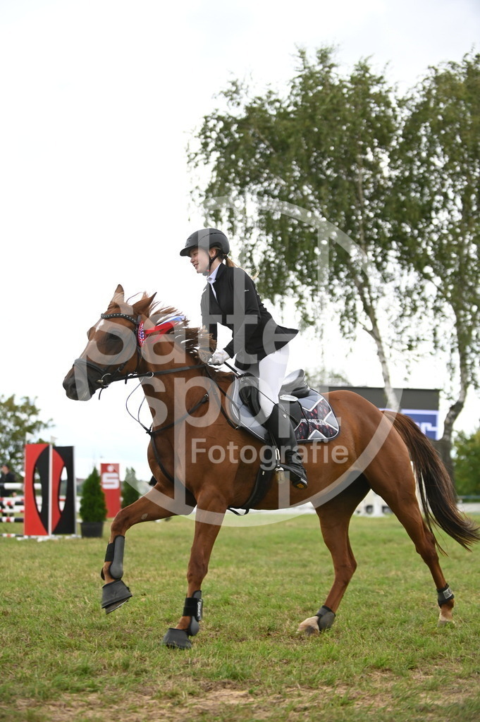 DSC_6667 | sattelsport - Realisiert mit Pictrs.com