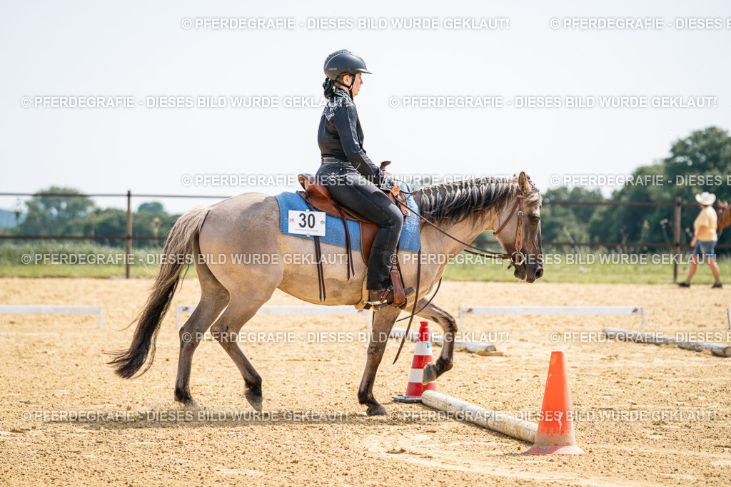 DSC09942 | Pferdegrafie