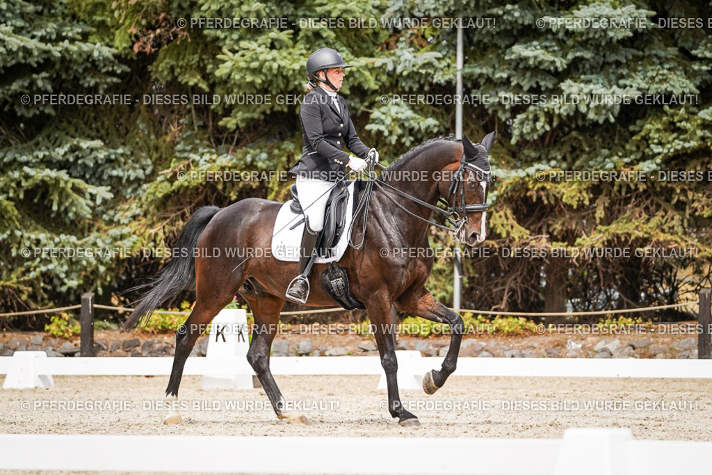 DSC05667 | Pferdegrafie