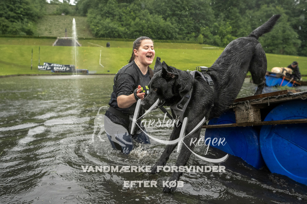 1334_ZZ99207 | kk-dogfotos