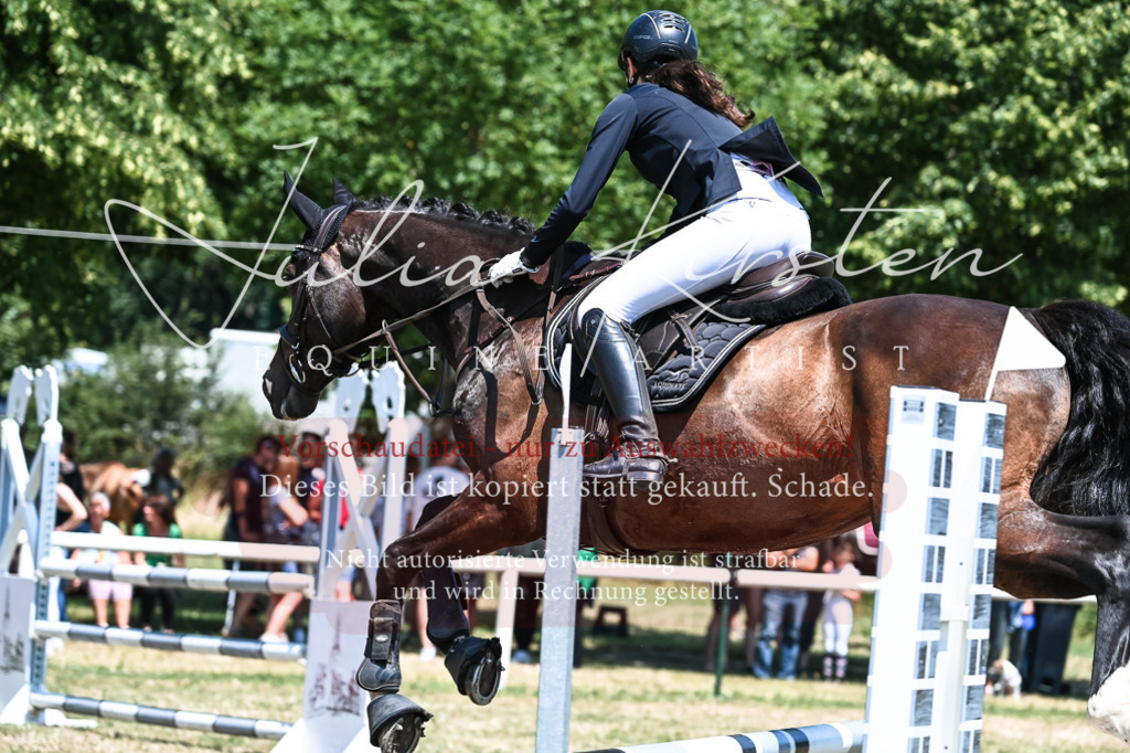 DSC_0437 | Pferde- und Turnierfotografie in Westsachsen. Pferdeportraits, Auftragszeichnungen und intuitive Kunst.
