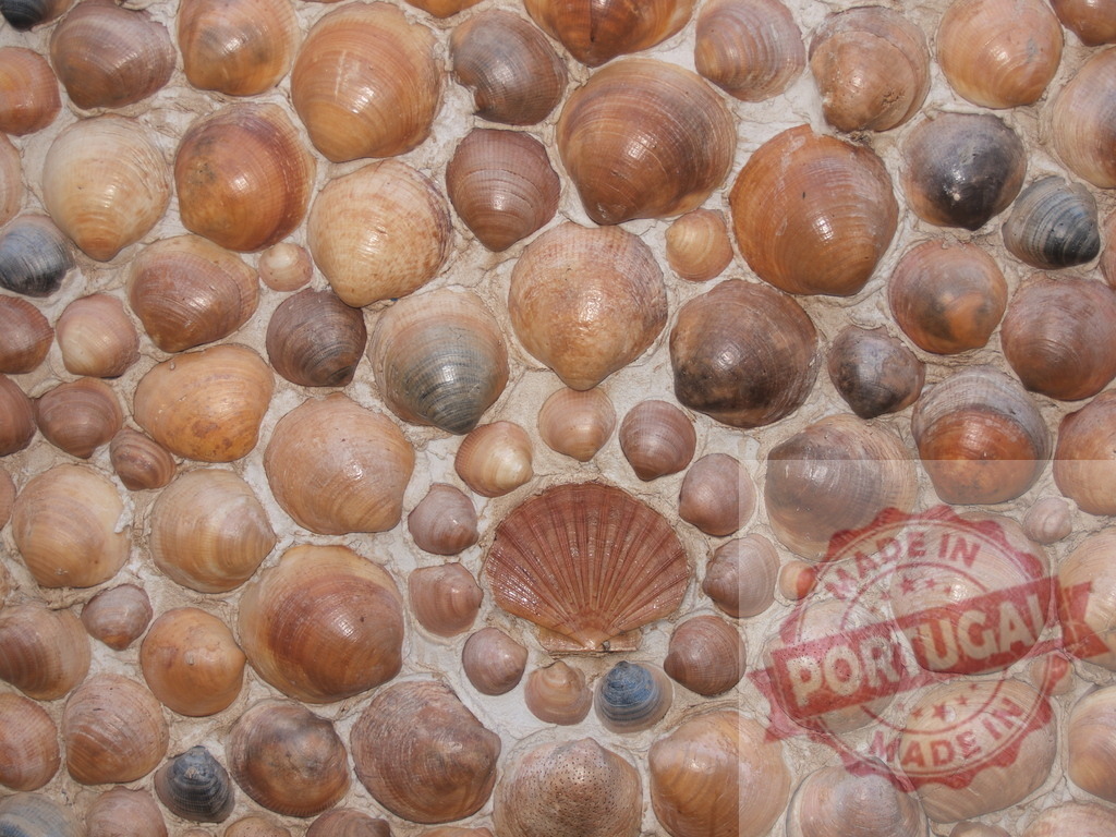 Seashell wall mosaic forming natural texture background | Seashells creating a patterned mosaic texture on a wall surface - Realized with Pictrs.com