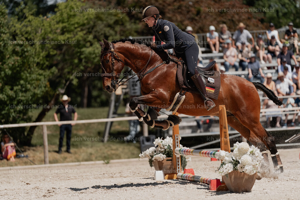 WE_SP_Stoib_340_PI2025_1971 | Pferd International München 2025