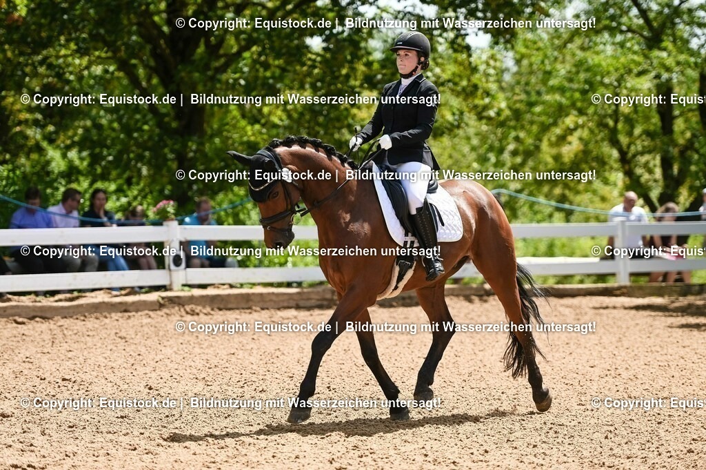 20230716_03_Dressurprfg. Kl.L - Tr._0092 | equistock