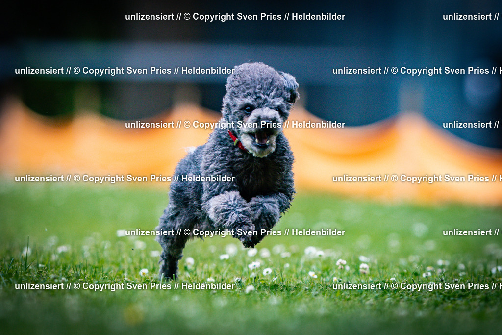 Sven Pries | 2025-05-29 - Pudelrennen KA-Durlach - Realisiert mit Pictrs.com