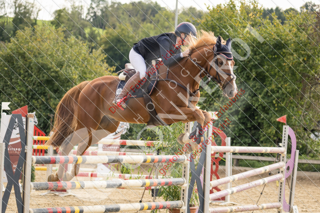 CON_6846 | Sport-, Event- und Tierfotos in Profiqualität. Einfach auswählen, bestellen und herunterladen. Dein Moment – perfekt festgehalten.