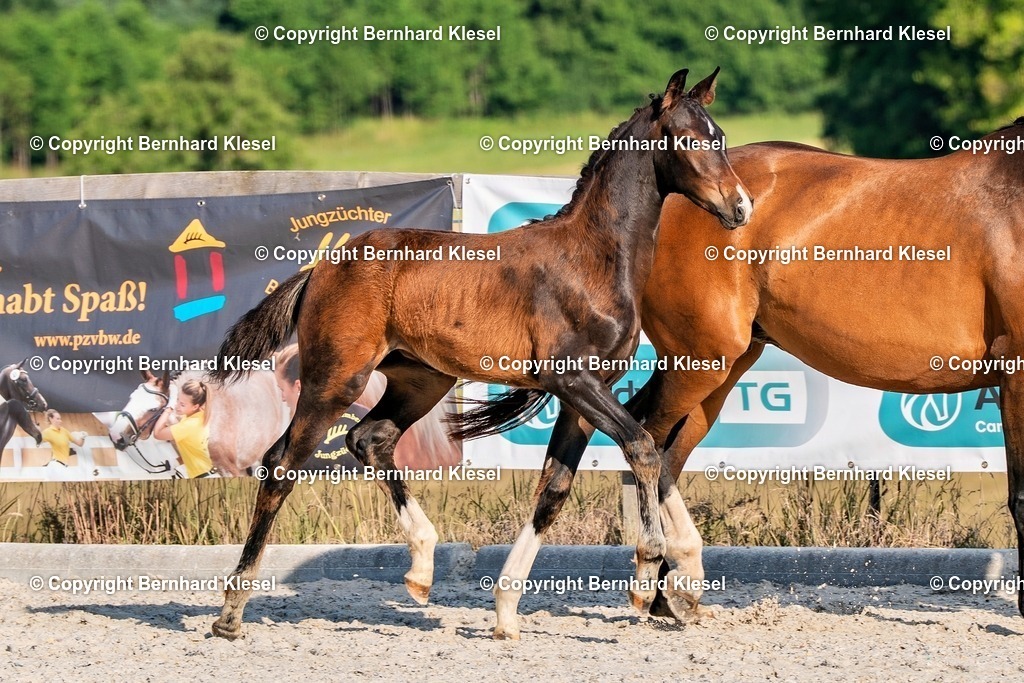 2A905700 | foto-team-bernhard - Realisiert mit Pictrs.com