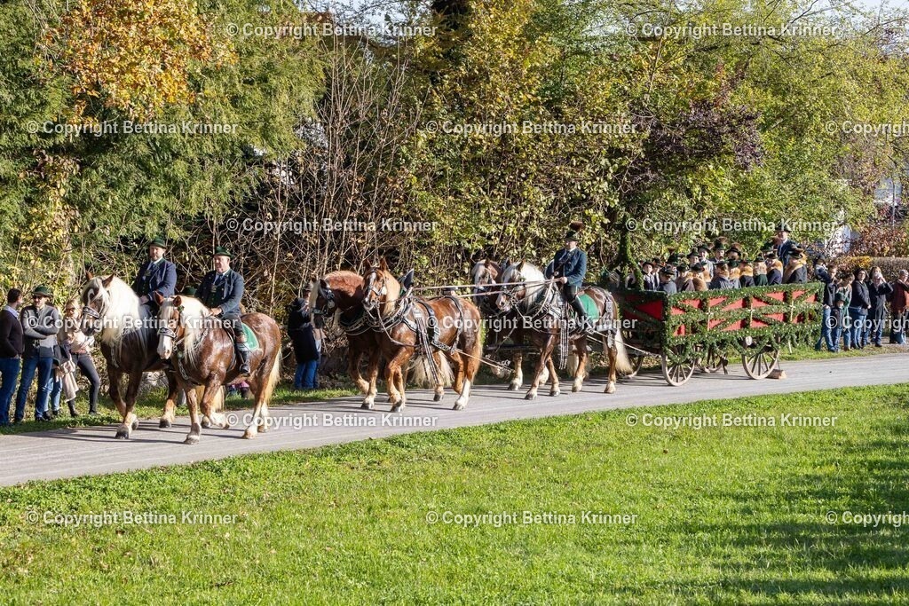 LBT24-144 | foto-bettina-krinner - Realisiert mit Pictrs.com