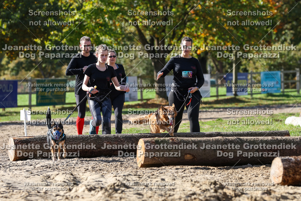 Dog Paparazzi - Strongdog 10-25-4831 | Dog Paparazzi Jeanette Grottendiek Fotografie & Videografie - Realisiert mit Pictrs.com