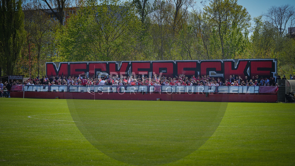 Fußball, Herren, Saison 2025/2026, Brandenburgliga, 23. Spieltag, Brandenburger SC Süd 05 vs. BSG Stahl Brandenburg, Samstag 25.04.2026, Werner-Seelenbinder-Sportplatz Brandenburg an der Havel | Fußball, Herren, Saison 2025/2026, Brandenburgliga, 23. Spieltag, Brandenburger SC Süd 05 vs. BSG Stahl Brandenburg, Samstag 25.04.2026, Werner-Seelenbinder-Sportplatz Brandenburg an der Havel, Im Bild: Ein Blick auf die Fankurve des Brandenburger SC Süd 05 - Realisiert mit Pictrs.com