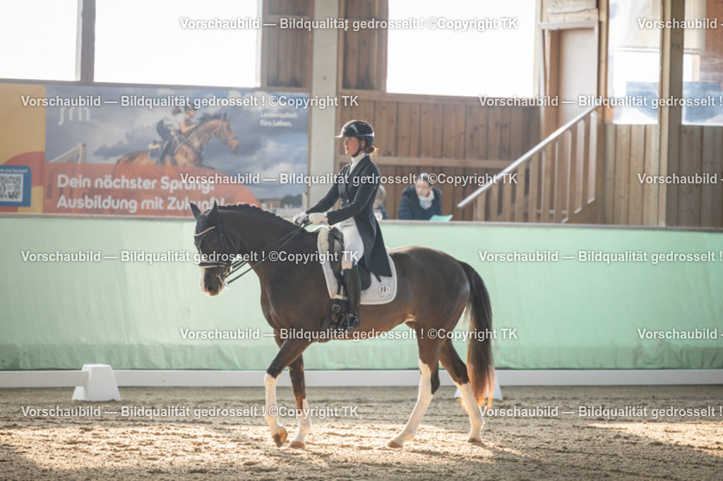 _D5A7849 | Emotionale Pferde- & People-Fotografie rund um Heidelberg, Leimen & Umgebung. Natürliche Fotos von Pferd, Mensch & Familie. Jetzt Termin sichern!