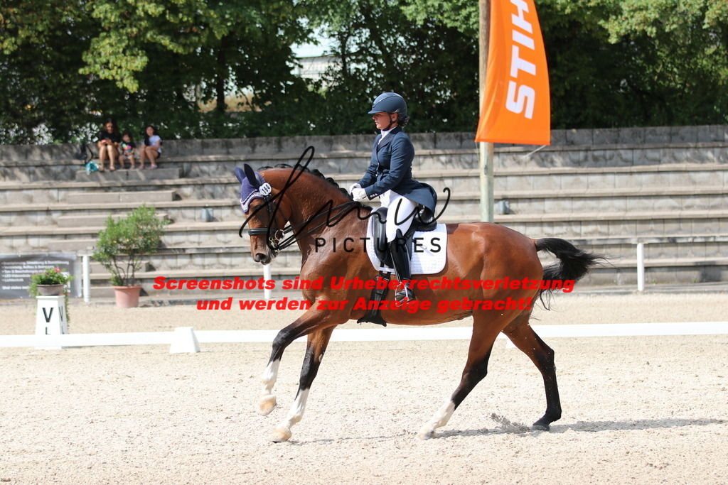 IMG_9529 | lmwpictures - Realisiert mit Pictrs.com