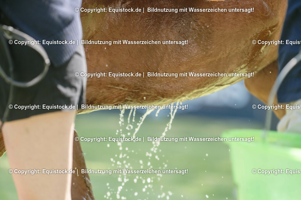 20230527_27_CCI4_Gelände_0190 | equistock