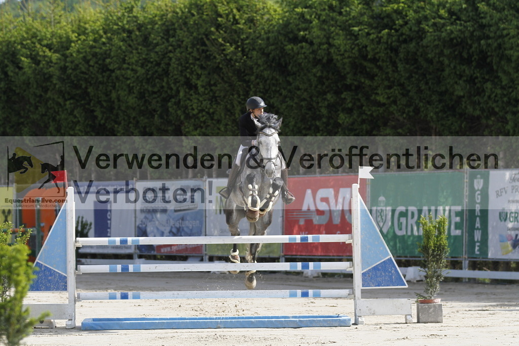 _MG_8616 | equestrian-live-com