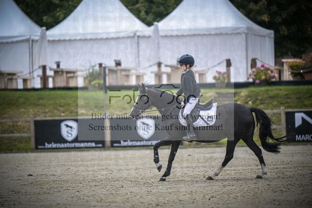 DOS_0435 | Entdecke hochwertige Reitturnierfotos von Foto Oger. Professionell, emotional und authentisch – jetzt Lieblingsmomente im Shop bestellen.Deutschlandweite Turnierfotografie. - Realisiert mit Pictrs.com