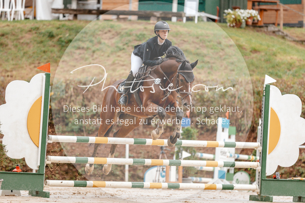 3I6A5558 | Stimmungsvolle Portraits und Reitsportfotografie im Ruhrgebiet und im Münsterland.

Pferdefotografie, Hundefotografie, Tierfotografie, Reportagen, Portraits von Tier und Mensch, Turnierfotografie in Bochum, Recklinghausen, Marl, Haltern am See, Dülmen.. - Realisiert mit Pictrs.com
