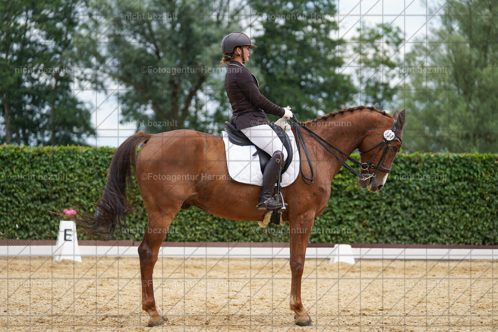 20240630-FAH02080 | Turnierbilder Schwabmünchen, Dressurbilder, Springreitturnier, Reitsportbilder, Turnierfotografen Bayern, Turnierfotograf