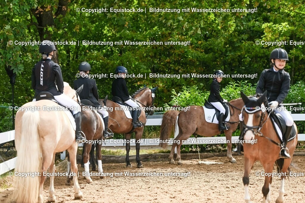 20230716_10-3_Reiter-WB Schritt - Trab - Galopp_0138 | equistock