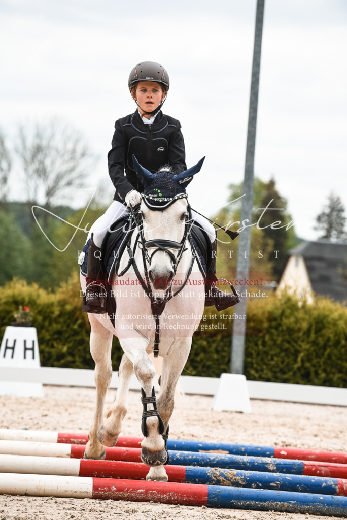 20230518_JK-Röhrsdorf-10-497 | Pferde- und Turnierfotografie in Westsachsen. Pferdeportraits, Auftragszeichnungen und intuitive Kunst.