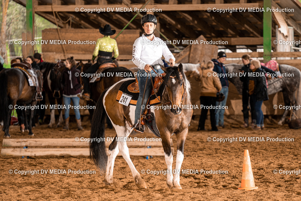 BAL00346 | dv-media-shop - Realisiert mit Pictrs.com