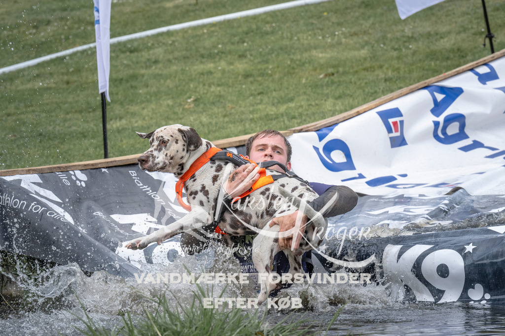 1136_ZZ93098 | kk-dogfotos