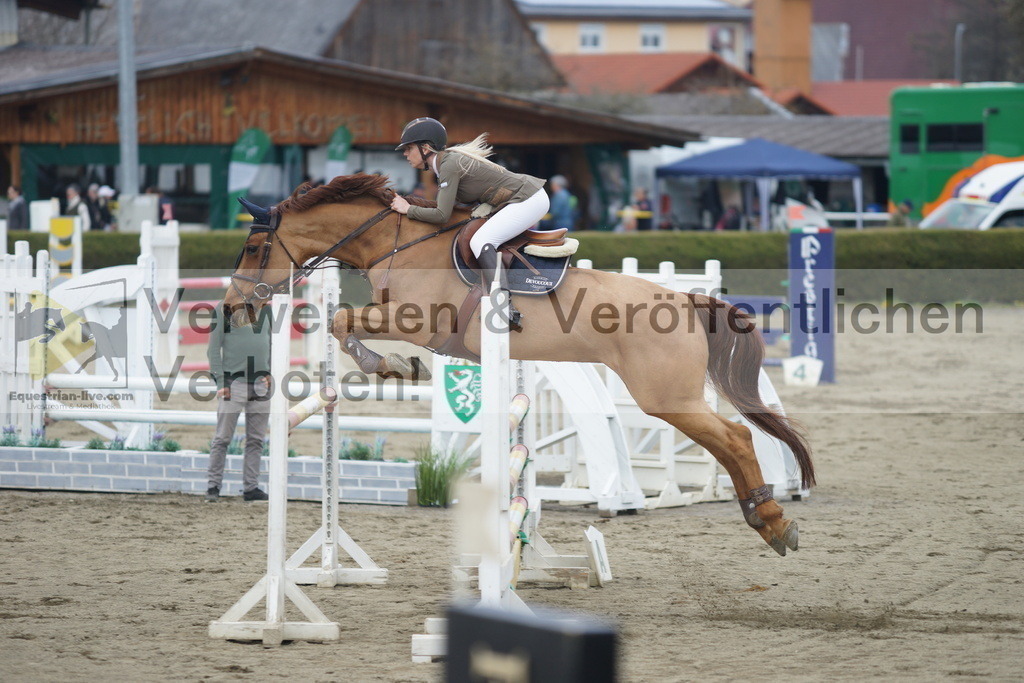 DSC01505 | equestrian-live-com