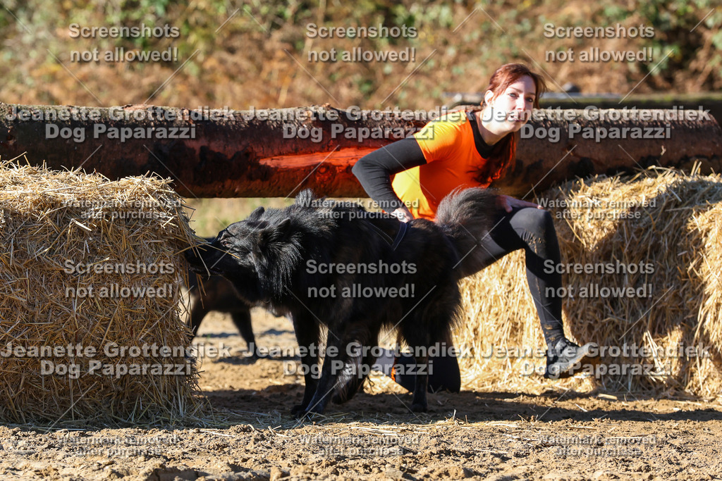 Dog Paparazzi - Strongdog 10-25-2019 | Dog Paparazzi Jeanette Grottendiek Fotografie & Videografie - Realisiert mit Pictrs.com