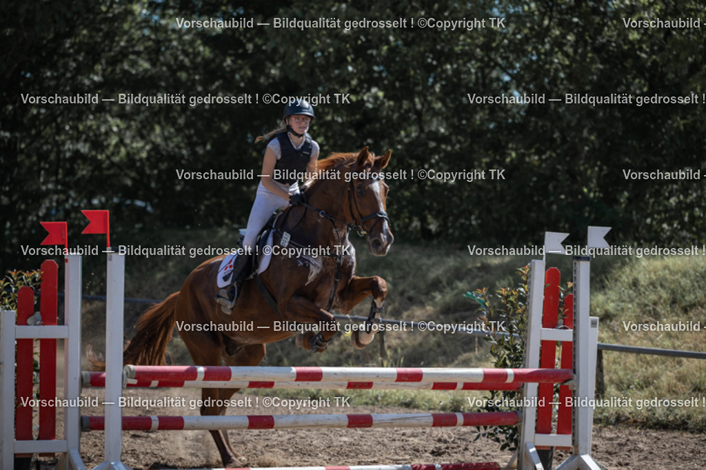 _D5A7717 | Emotionale Pferde- & People-Fotografie rund um Heidelberg, Leimen & Umgebung. Natürliche Fotos von Pferd, Mensch & Familie. Jetzt Termin sichern!