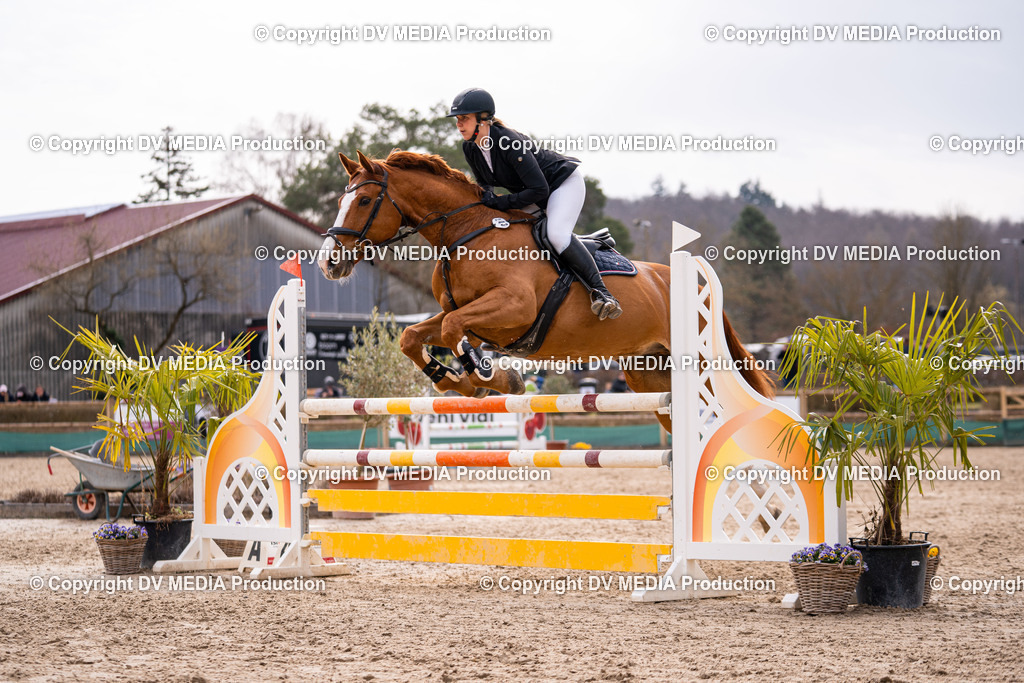 Kranichstein Tag 2-364 | dv-media-shop - Realisiert mit Pictrs.com