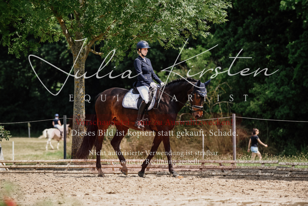 DSC_1469 | Pferde- und Turnierfotografie in Westsachsen. Pferdeportraits, Auftragszeichnungen und intuitive Kunst.