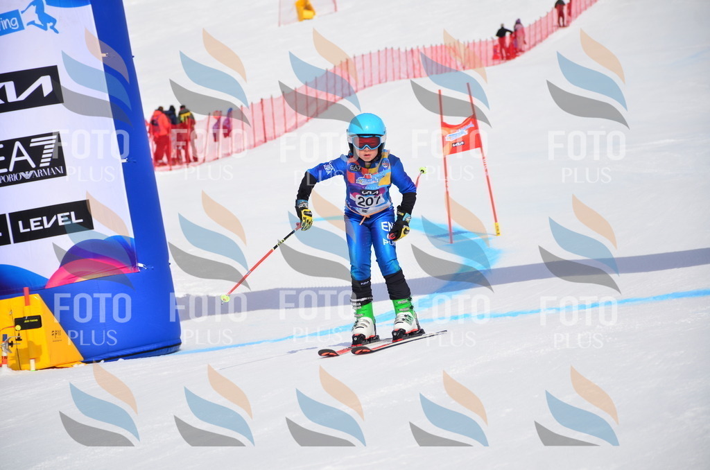 VR4_7083 | holidayphoto