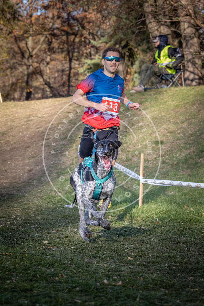 CaniXpix_0L8A8721 | Hundefotografie, Tierfotograf, Pfotenfotografie, Fotoshooting Hund, Hunde Portrait, Hundesport, Hundeportraits, Heideshooting, Hunde, Sportfotograf, Hundefotograf, Turnierhundsport, THS,  - Realisiert mit Pictrs.com