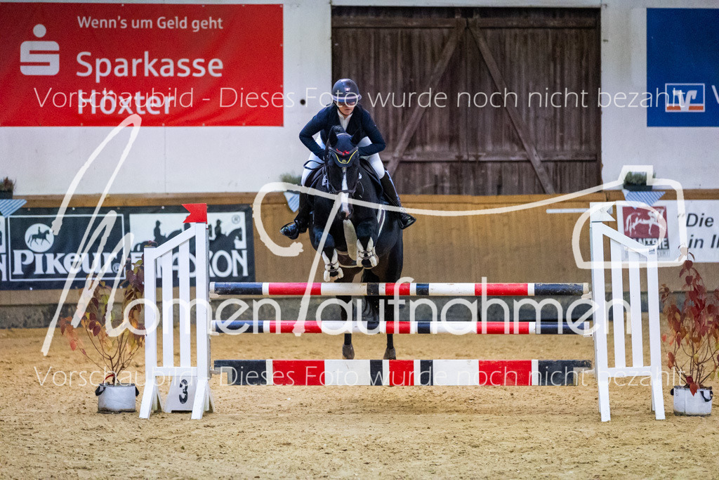 Sth-L-Springen-047 | MomenTaufnahmen Pferdesportfotos