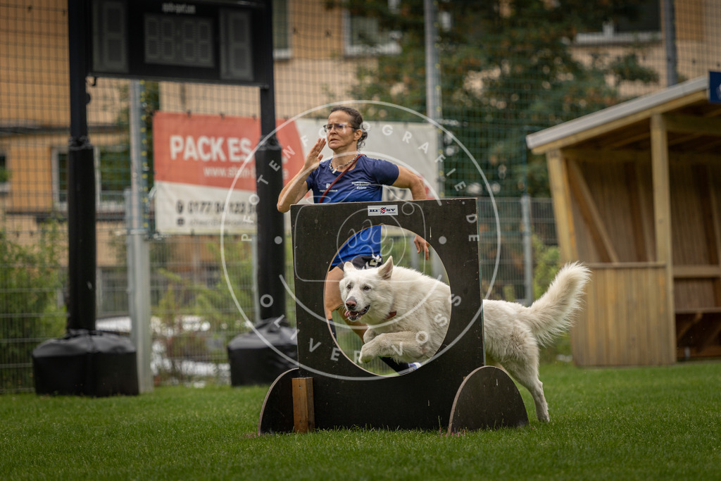 Pfotenfotografie_DV3A8522 | Hundefotografie, Tierfotograf, Pfotenfotografie, Fotoshooting Hund, Hunde Portrait, Hundesport, Hundeportraits, Heideshooting, Hunde, Sportfotograf, Hundefotograf, Turnierhundsport, THS,  - Realisiert mit Pictrs.com