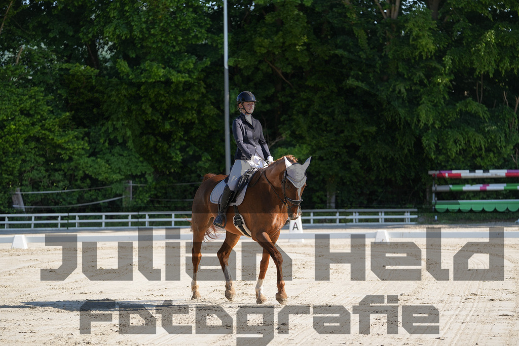 DSC02838 | Julian Held Fotografie - Realisiert mit Pictrs.com