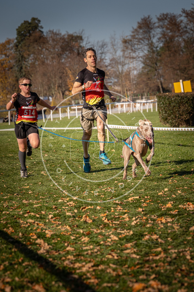 CaniXpix_0L8A6913 | Hundefotografie, Tierfotograf, Pfotenfotografie, Fotoshooting Hund, Hunde Portrait, Hundesport, Hundeportraits, Heideshooting, Hunde, Sportfotograf, Hundefotograf, Turnierhundsport, THS,  - Realisiert mit Pictrs.com